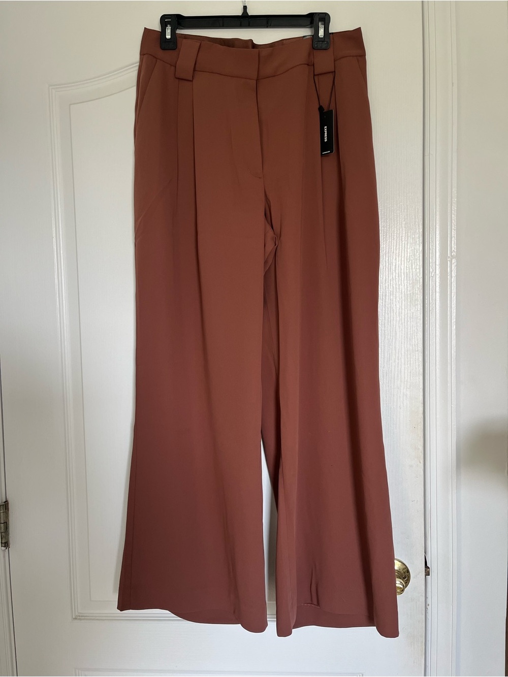 Express Wide-Leg Trousers in Rust
